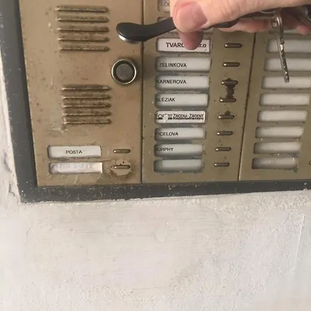Mira 2